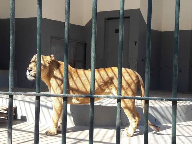 Touta Zoo Park - Image 1
