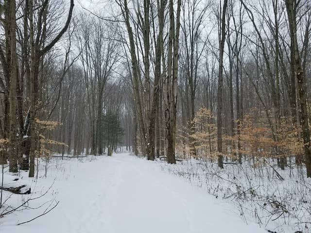 Dix Park - Image 1