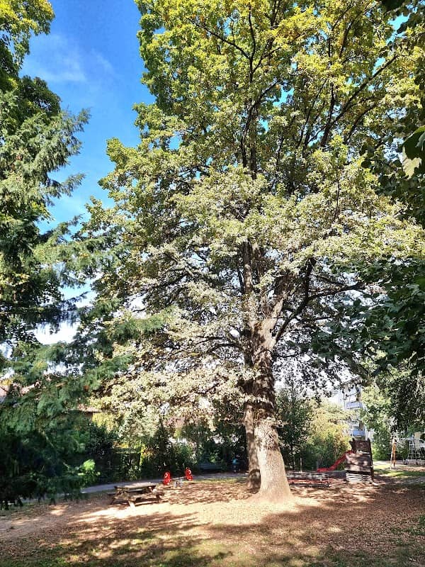 Parc de la Tour Grise - Image 2