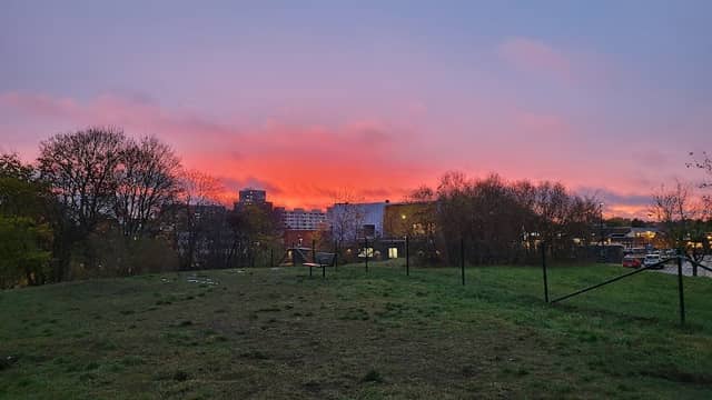 Hundrastgård Tureberg 3 - Image 1