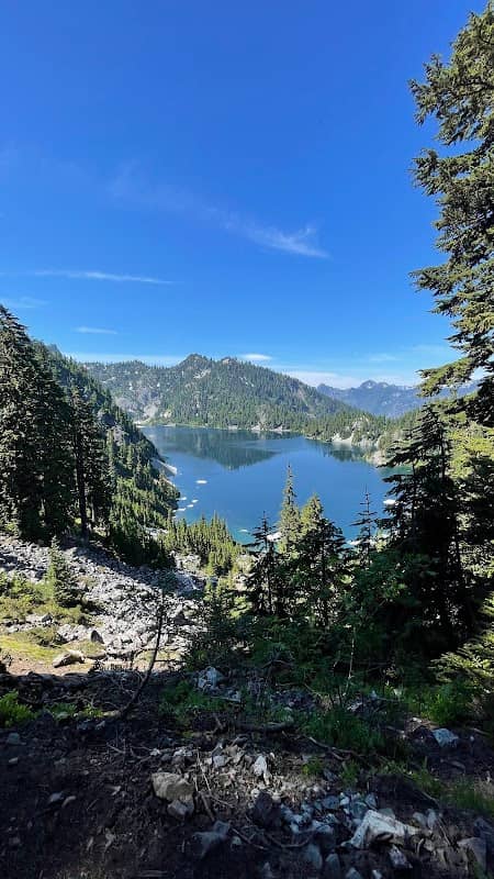 Fragrance Lake Lookout Tree - Image 1