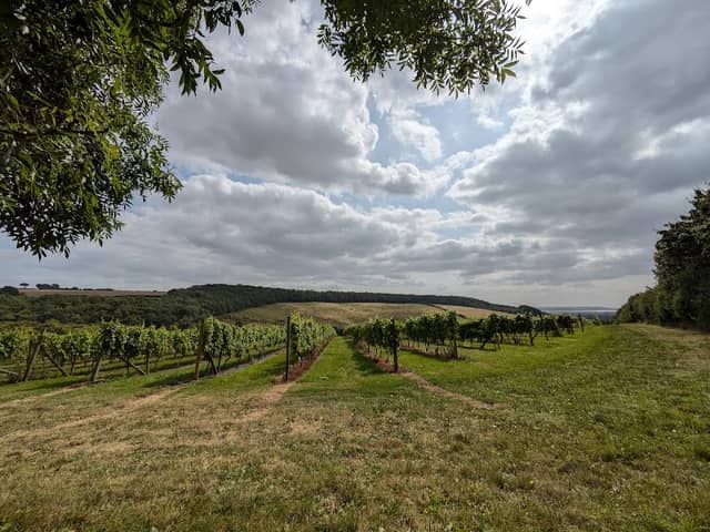 The Yorkshire Wolds Way - Image 4