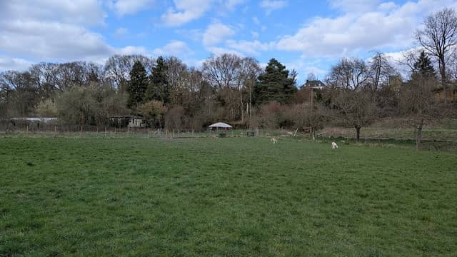Hundewiese - Image 2