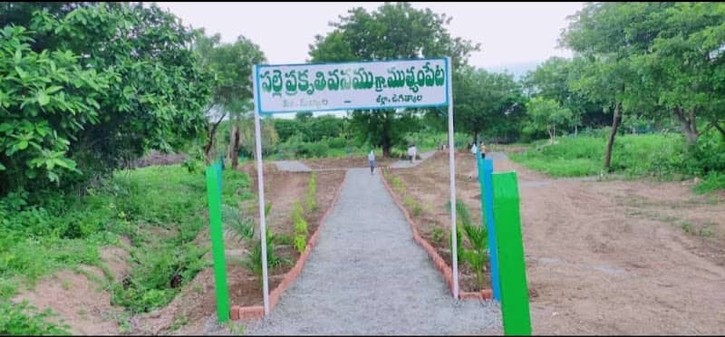 పల్లె ప్రకృతి వనం ముత్యంపేట - Image 1