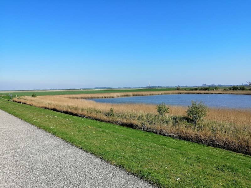 Feddema's plas | Het Groninger Landschap - Image 1