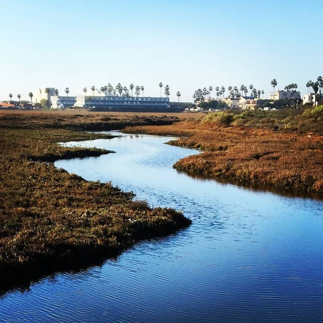 Tijuana Estuary Visitor Center - Image 2