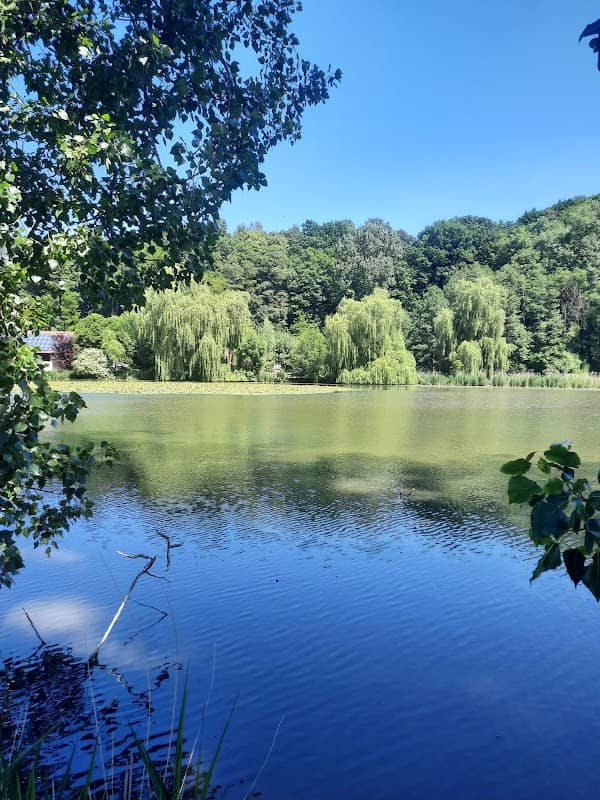 Nordholzer Mühlenweiher - Image 3