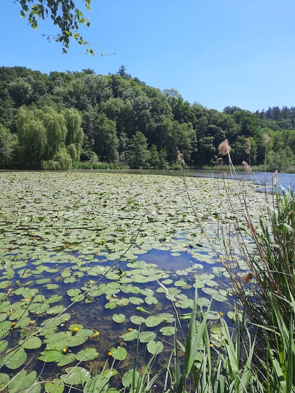 Nordholzer Mühlenweiher - Image 1
