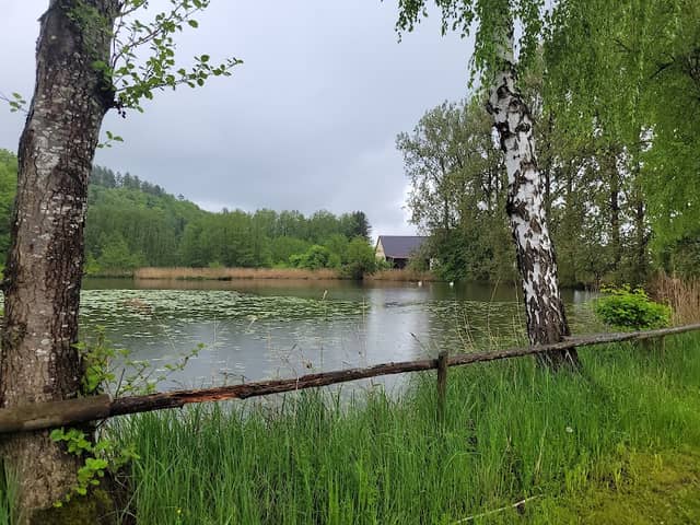 Nordholzer Mühlenweiher - Image 2