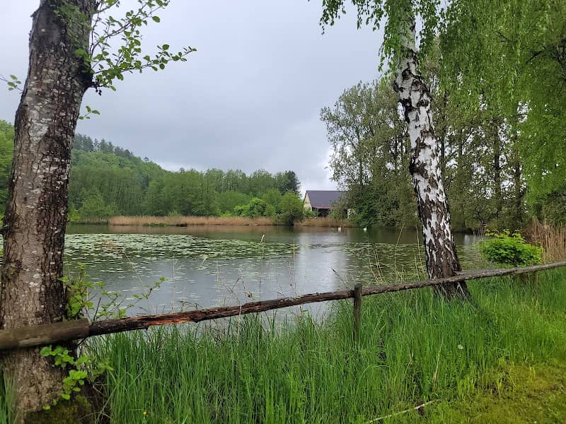 Nordholzer Mühlenweiher - Image 2