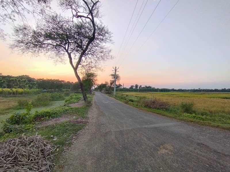 বালিশা মনোরম দৃশ্য - Image 1