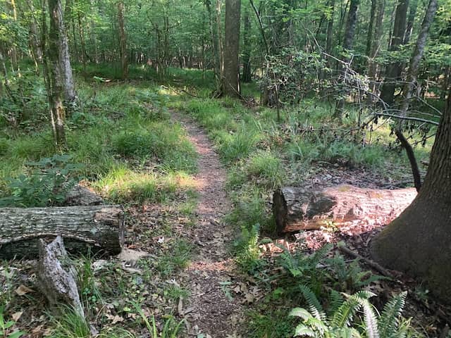 Wannamaker North Trail - Image 2