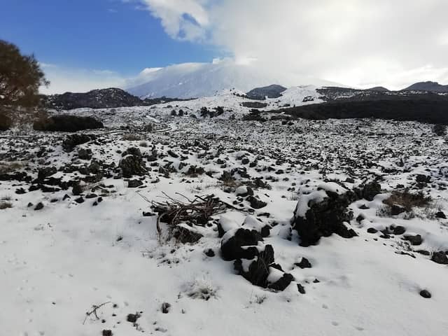 Monte Lepre - Image 1