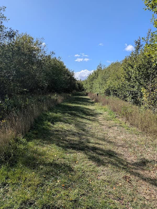 Ashing Lane Nature Reserve, Monks Wood, Co-op Woods - Image 1