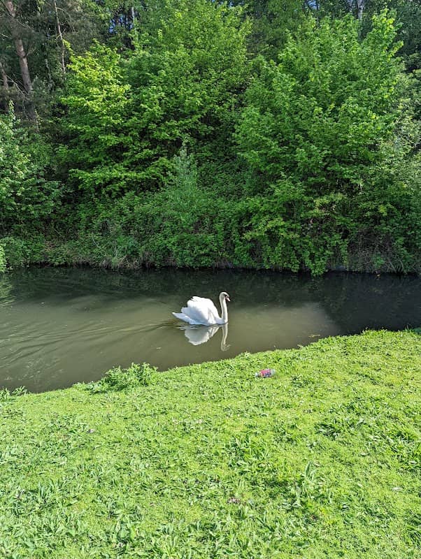 Canal Park - Image 2