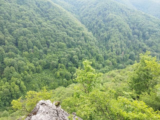 Belvedere Valea Mare - Image 2