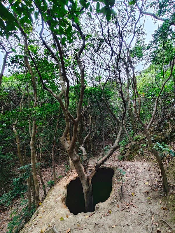 A Treehole - Image 1