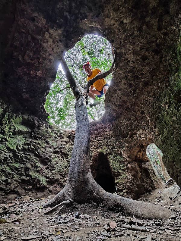 A Treehole - Image 2