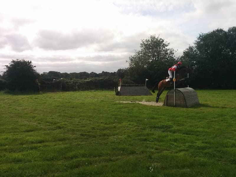 Ballindenisk Equestrian - Image 2