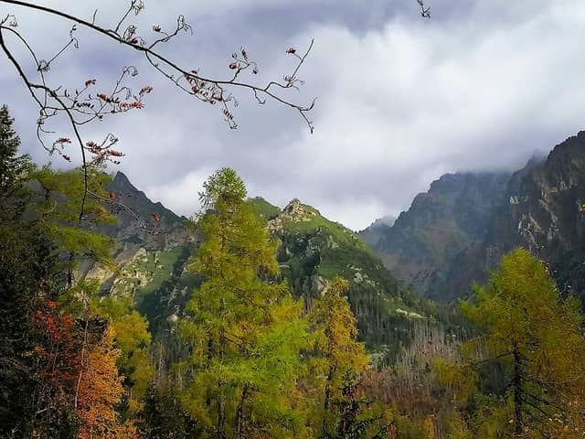 Rainer nature trail - Image 3