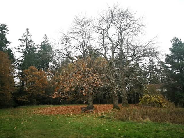 Elizabeth Daryush Memorial Garden - Image 1