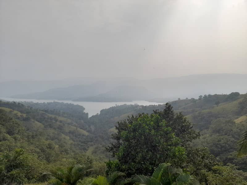 Koyna river view point - Image 1