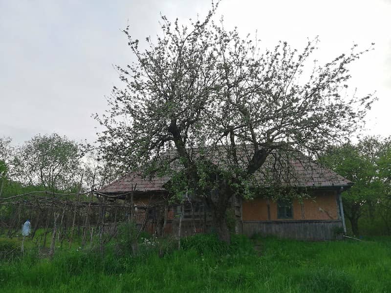 Casa din deal - Image 2