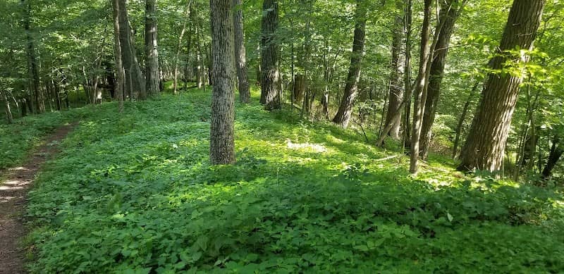 Petersen Island Woods Preserve - Kettle Moraine Land Trust - Image 1