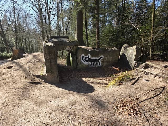 Wittmunder Wald - Image 3