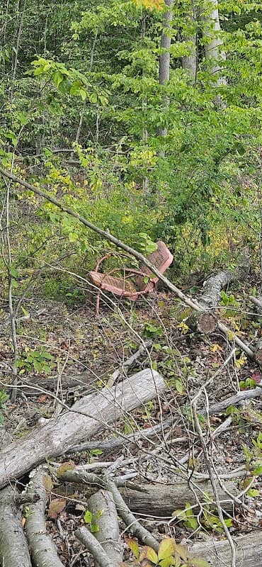 la silla en el bosque - Image 1