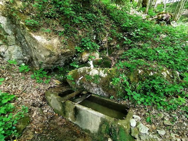 Izvir pri Kočevskih Poljanah - Image 1
