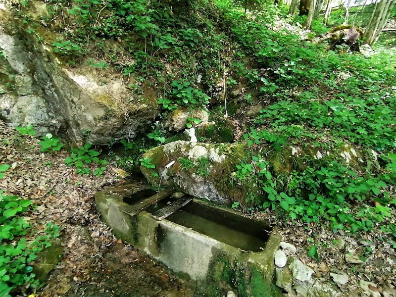 Izvir pri Kočevskih Poljanah - Image 1