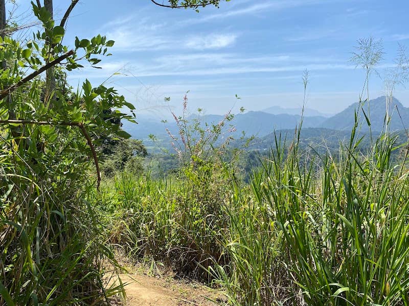 Kuragala hills - Image 2