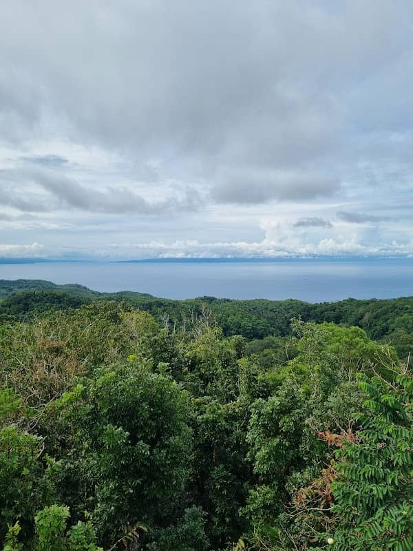 Observation tower - Image 1