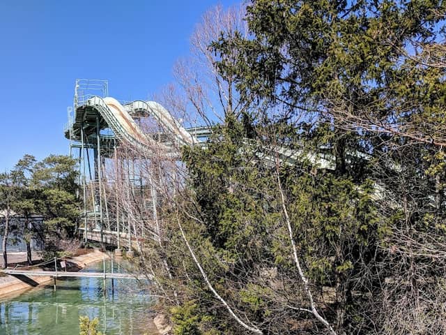 Logger's Run - Image 2