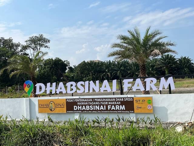 Dhabsinai Farm - Image 2
