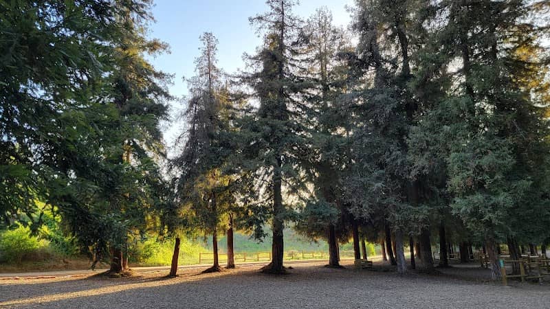 Redwood Grove - Image 2