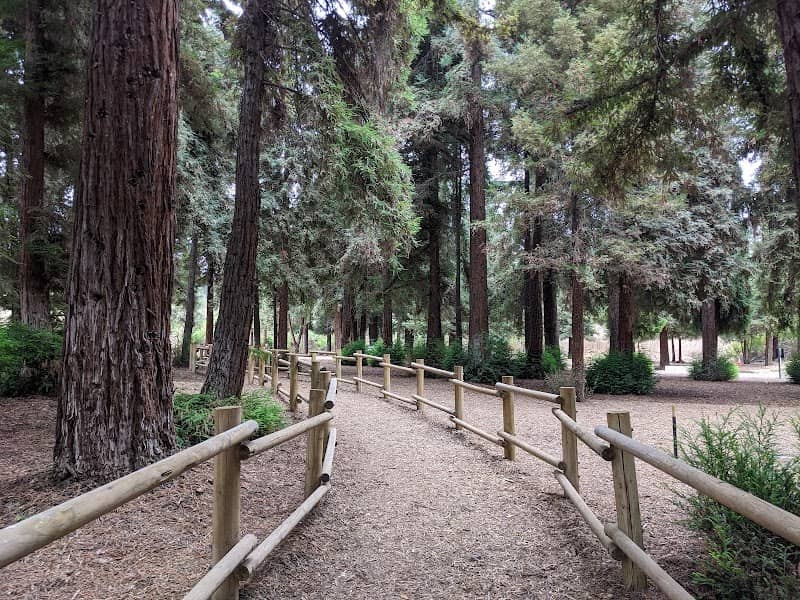 Redwood Grove - Image 1