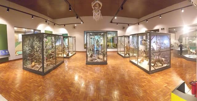 Museum of Natural History of Campinas - Image 2