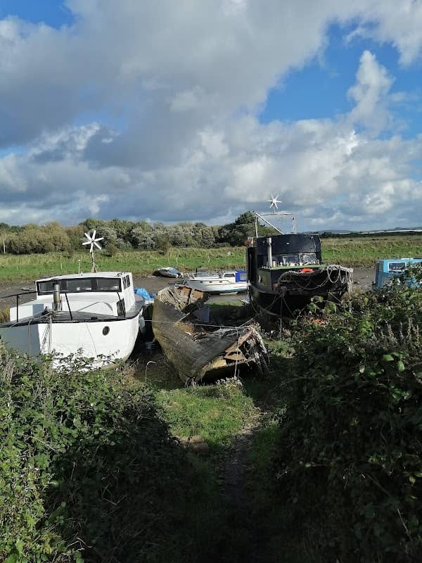 Braunton Great Fields - Image 2