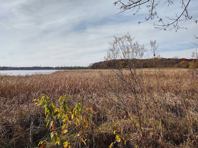 Orland Grove - Image 2