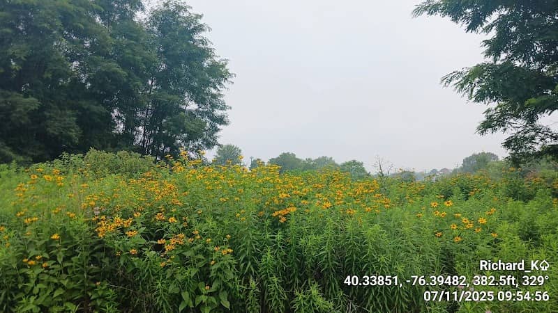 Quittapahilla Educational Wetland Preserve - Image 1