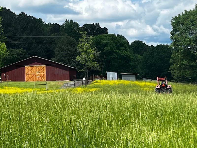 Southern Outdoor Farms - Image 2
