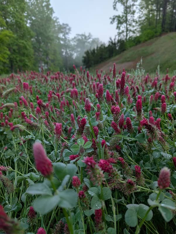 Dallas Battlefield Trail - Image 2