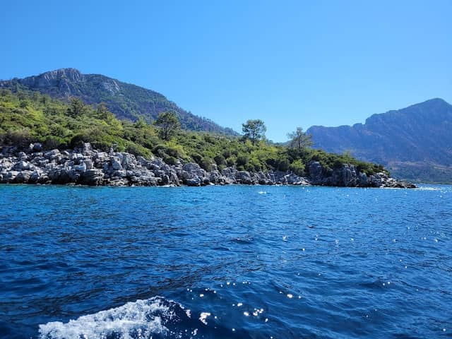 Bakla Bükü - Image 3