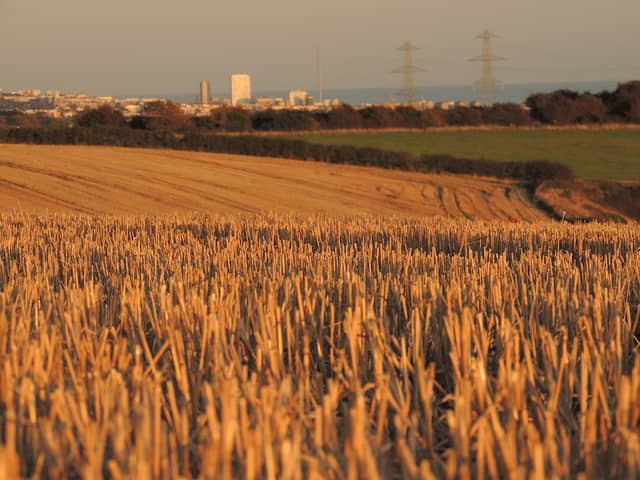 Southwick Hill. - Image 2