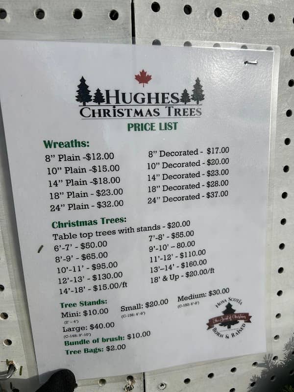 Hughes Christmas Tree Farm U-Pick - Image 1
