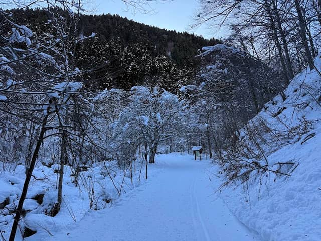 Correria della Certosa di Pesio - Image 1