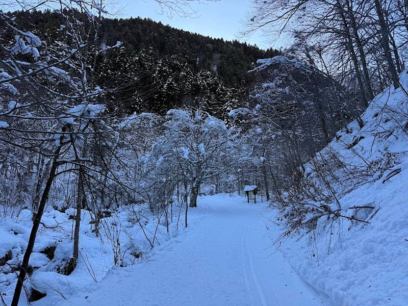 Correria della Certosa di Pesio - Image 1