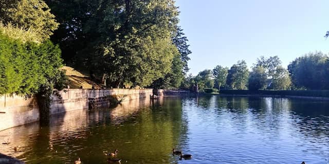 Schlossweiher Heroldsberg - Image 1